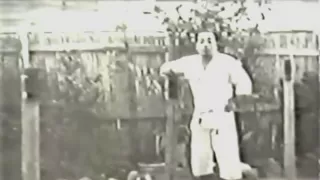 Morio Higaonna  Power Training of Goju-Ryu