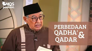 Perbedaan Qadha' dan Qadar | M. Quraish Shihab Podcast