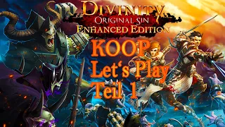 Divinity Original Sin EE - DER ANFANG - KOOP Playthrough - Teil 1