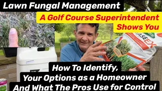 SAVE MONEY. Fungus control that works!  Advice from a GC Superintendent