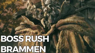 Boss Rush mit Brammen - Elden Ring