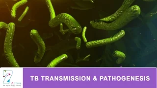 TB TRANSMISSION & PATHOGENESIS