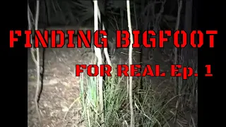 FINDING BIGFOOT: Bigfoots Den!  Ep.1  #Bigfoot #Newhampshire #4K