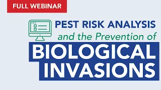 Pest Risk Analysis and the Prevention of Biological Invasions