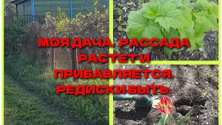 ЛЮБИМАЯ ДАЧА🏠❤️ПРИЕХАЛИ НА РАЗВЕДКУ.