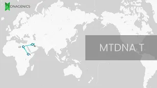 MTDNA T - DNAGENICS