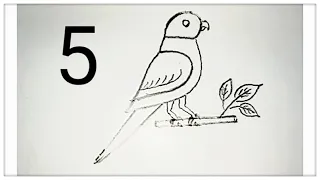 How to draw a bird by number 5.step by step.