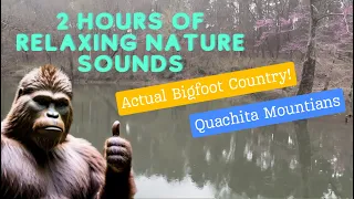 Two hours of relaxing nature sounds from southeast Oklahoma