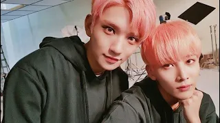 [세븐틴/정한/조슈아] 윤정한과 홍지수의 차이