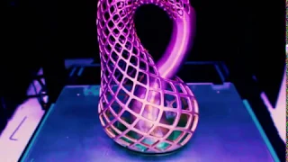 Klein Bottle 3D print time lapse.