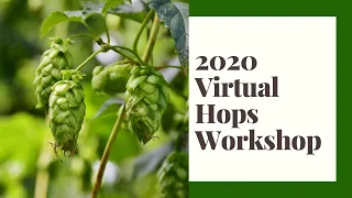 2020 Virtual Hops Workshop Webinar Recording- August 20, 2020