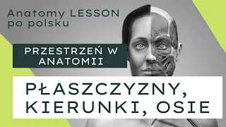 ANATOMY LESSON po polsku - #1 Przestrzeń w anatomii - kierunki, osie, płaszczyzny