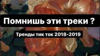 ПОМНИШЬ ЭТИ ТРЕКИ ? НРАВИТСЯ / НЕ НРАВИТСЯ | ТИК ТОК | Tik Tok тренды 2018-2019 | ВЫБИРАШКИ