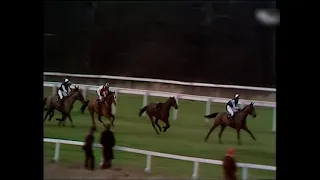 1972 King George VI Chase
