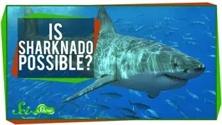 Is SHARKNADO Possible?