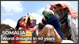 Somalia’s worst drought in 40 years: NGOs warn of deepening crisis