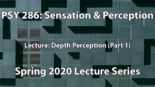 Depth Perception (Part 1) || Sensation & Perception (PSY 286)