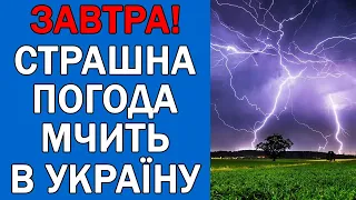 ПОГОДА 12 ТРАВНЯ : ПОГОДА НА ЗАВТРА