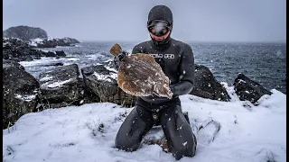 When is it too COLD? Spearfishing Remote Arctic Norway 🇳🇴 in Winter.