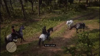 Red Dead Redemption 2 Second Horse Race Arthur With Taima Extra Speed Bar