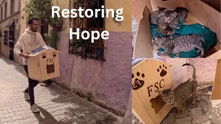 A wooden house warms the heart of a grieving mama cat who has lost her kitten.