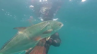 Spearfishing - Blurry May 2019