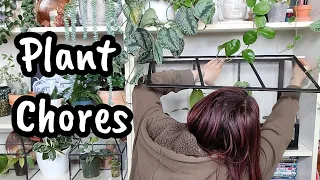 weather strip the mini IKEA greenhouse, water, fertilize & get plants ready for sale with me 💕