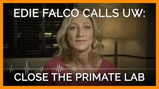 Edie Falco Calls All UW Faculty and Staff: Close the Primate Research Center Now!