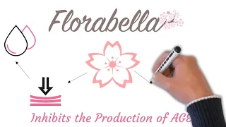 Florabella® - Sakura (Cherry Blossom) Extract