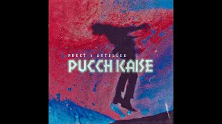 Preet - Puchh Kaise ft. Asteller | Prod. Dee Ven | Preet Rap [OFFICIAL AUDIO]