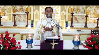 Holy Mass May 30 Monday   I 5.30 am I Malayalam I Syro Malabar I Fr  Bineesh Augustine