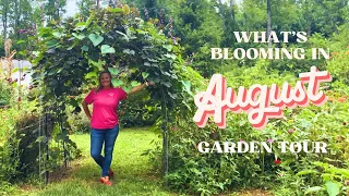 End-of-Summer Blooms & Full Garden Walkthrough | August Edition | The Southern Daisy