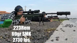 Suppressed Remington 700 .223 at 600 yards