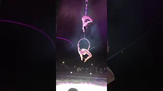 #circus#foryou#fypシ#viral#viralvideo#video#viralshorts#viralvideos #videos#foryoupage