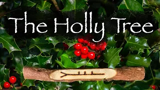 Holly. Folklore, Myth and Magic of the Holly Tree.