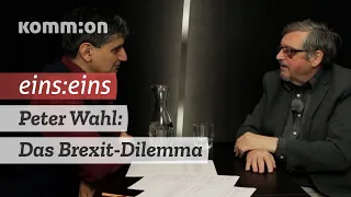 EINS:EINS Peter Wahl: Das Brexit-Dilemma.