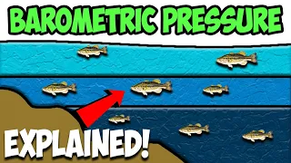 How BAROMETRIC PRESSURE Effects Fishing (Explained!)