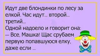 🤡Муж Вышел Из Запоя...Большой Сборник Весёлых Анекдотов, Для Хорошего Настроения!