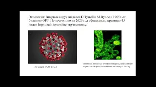 13:50  Коронавирусная инфекция  эпидемиология, профилактика  Эпидемиологический надзор