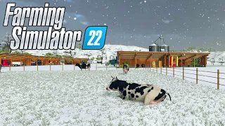 WINTER JOB | Animals at Haut-Beyleron | Episode 4 | Farming Simulator 22