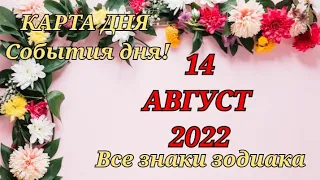 КАРТА ДНЯ 🔮 14 августа 2022 🔮 Гороскоп для всех знаков зодиака #таро #картадня