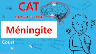 Méningite🙄?! c'est quoi la CAT 🤔? - Cours - Infectiologie