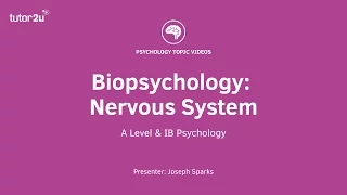 Biopsychology: Nervous System Explained