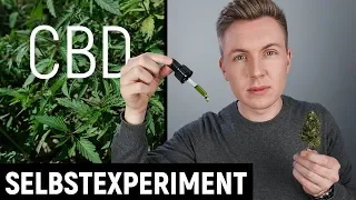 CBD-Selbstexperiment: Was kann das 'Wundermittel' wirklich?