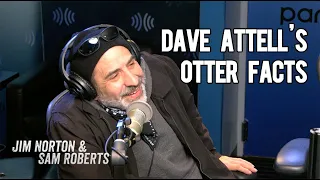 Dave Attell and his Otter Facts - Jim Norton & Sam Roberts