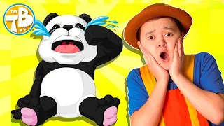 Who is crying ? The Boo Boo Animal | Tigi Boo Kids Songs