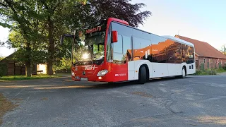 Busvorstellung Wagen 223 und 259