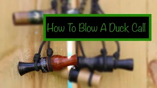 How To Blow A Duck Call - The Quack