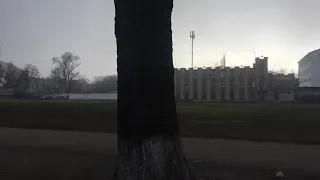Преображенский парк в Одессе зачищают от деревьев под парковку для посетителей спорткомплекса