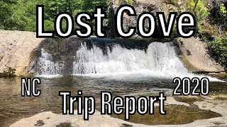 Lost Cove Wilderness Study Area - Wilson Creek - Pisgah NF NC | 3-day Backpacking Report